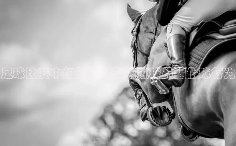 意昂4代理赛富乐斯