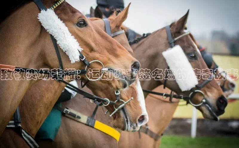 意昂4开户遥望科技